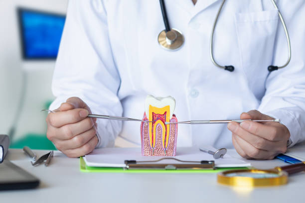 Best Cracked Tooth Emergency Dentist  in East Missoula, MT